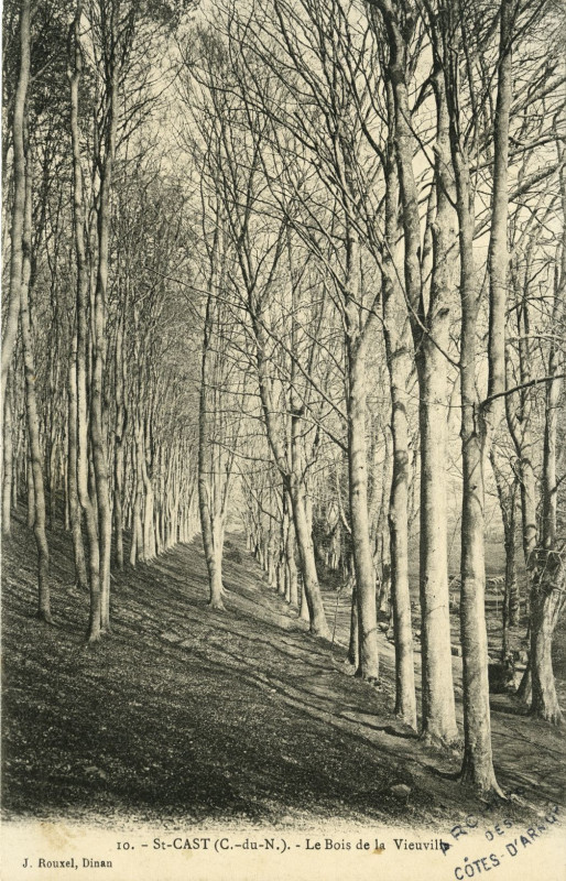 Carte postale ancienne Saint-Cast - La Garde allée principale du bois de la Vieuville à Saint-Cast-le-Guildo