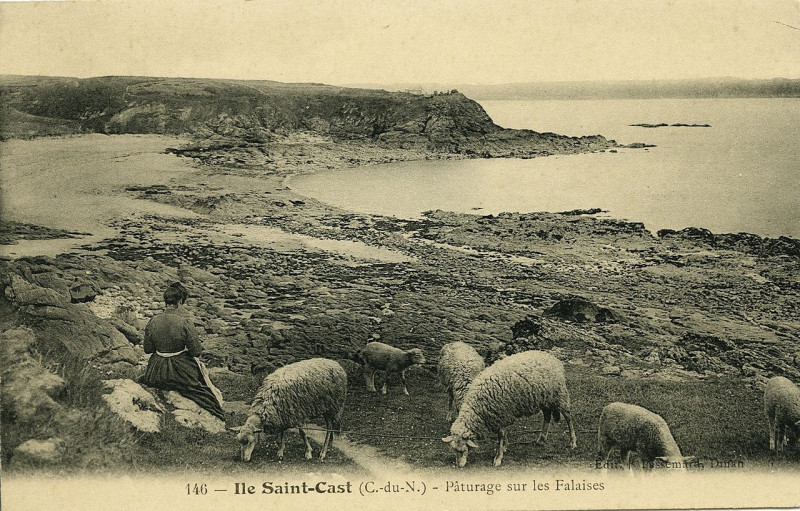 Carte postale ancienne Saint-Cast - Pâturage sur les falaises à Saint-Cast-le-Guildo