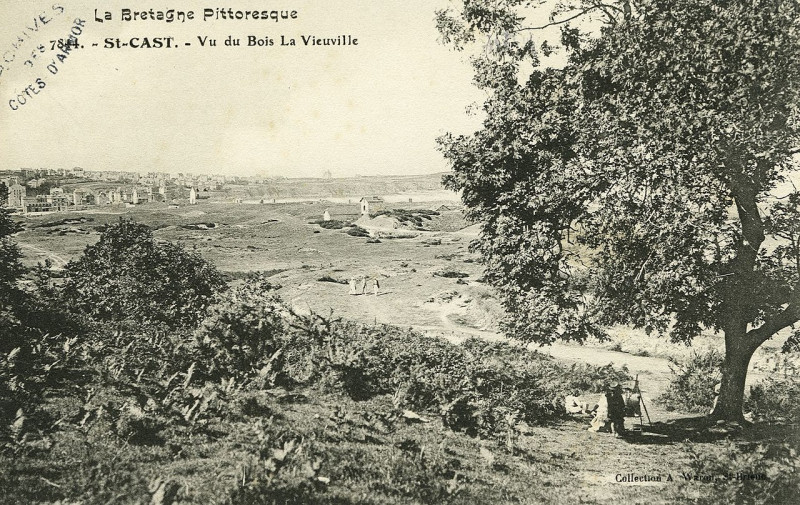 Carte postale ancienne Saint-Cast - Vue du bois la Vieuville à Saint-Cast-le-Guildo