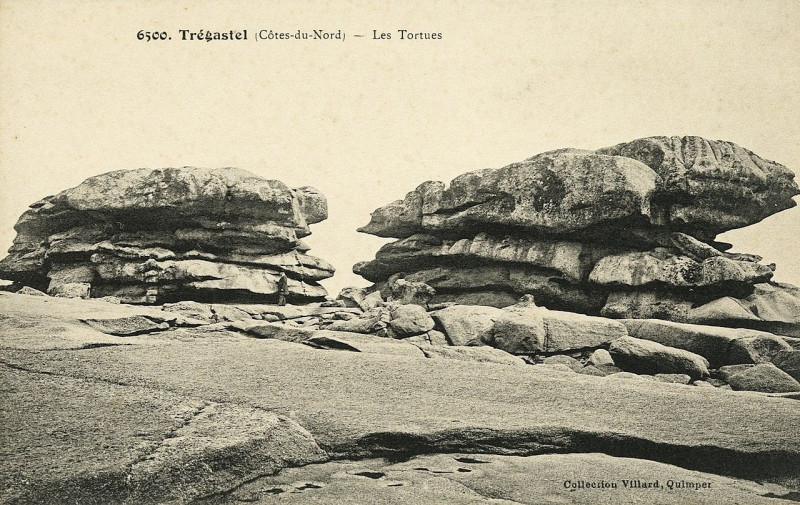 Carte postale ancienne Trégastel - Tortues à Trégastel