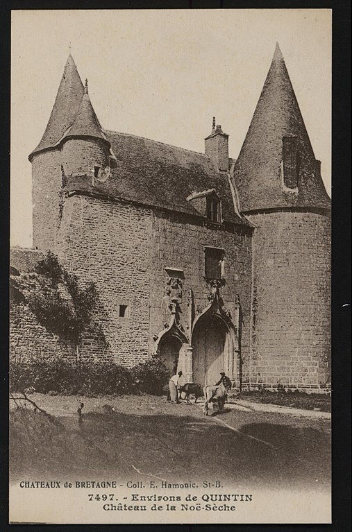 Carte postale ancienne Le Foeil - Château de la Noë-Sèche au Foeil