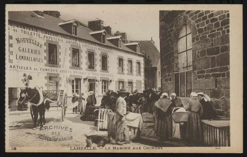 Carte postale ancienne Lamballe - Marché aux Cochons à Lamballe-Armor