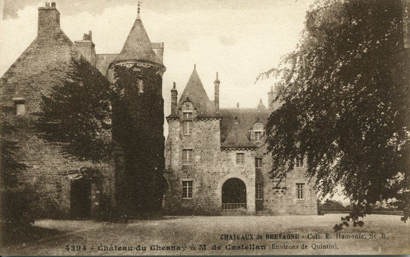 Carte postale ancienne Saint-Donan - Château du Chesnay à Saint-Donan