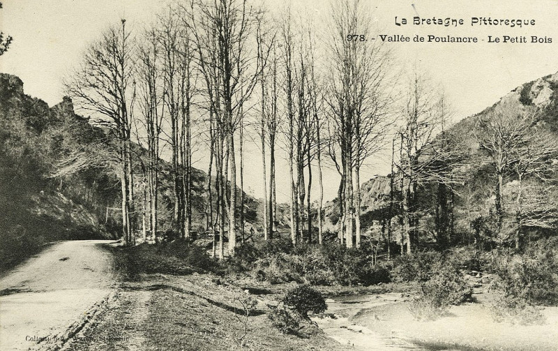 Carte postale ancienne Saint-Gilles-Vieux-Marché - Vallée de Poulancre petit bois à Saint-Gilles-Vieux-Marché