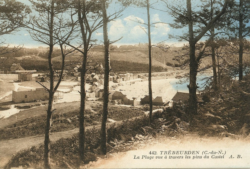 Carte postale ancienne Trébeurden - Plage à travers les pins du Castel à Trébeurden
