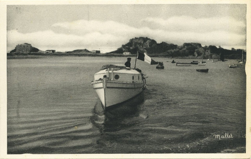 Carte postale ancienne Trébeurden - Vedette Kénavo à Trébeurden