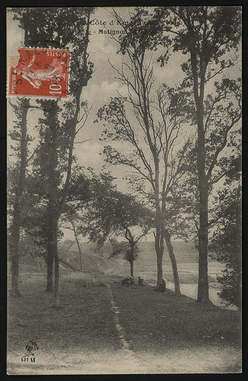 Carte postale ancienne Matignon - Vue générale à Matignon