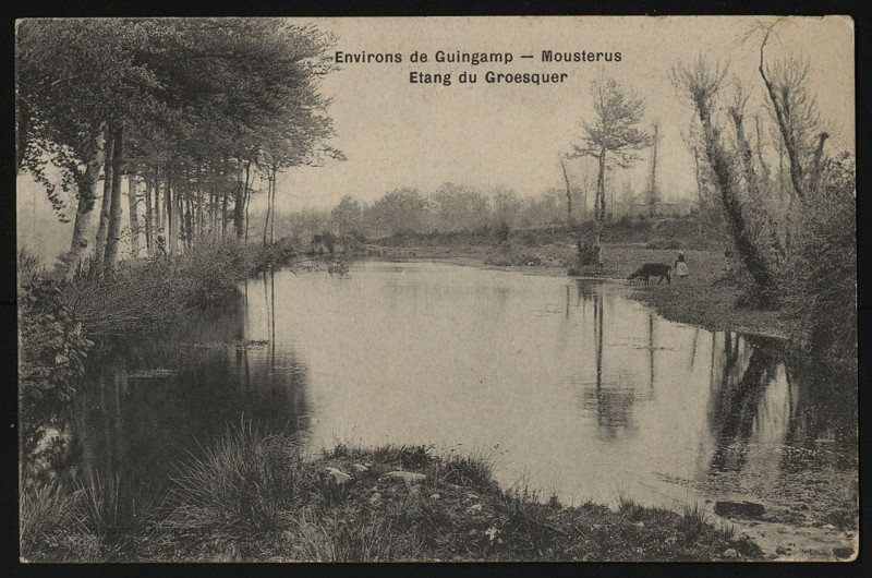Carte postale ancienne Moustéru - Etang du Groesquer à Moustéru