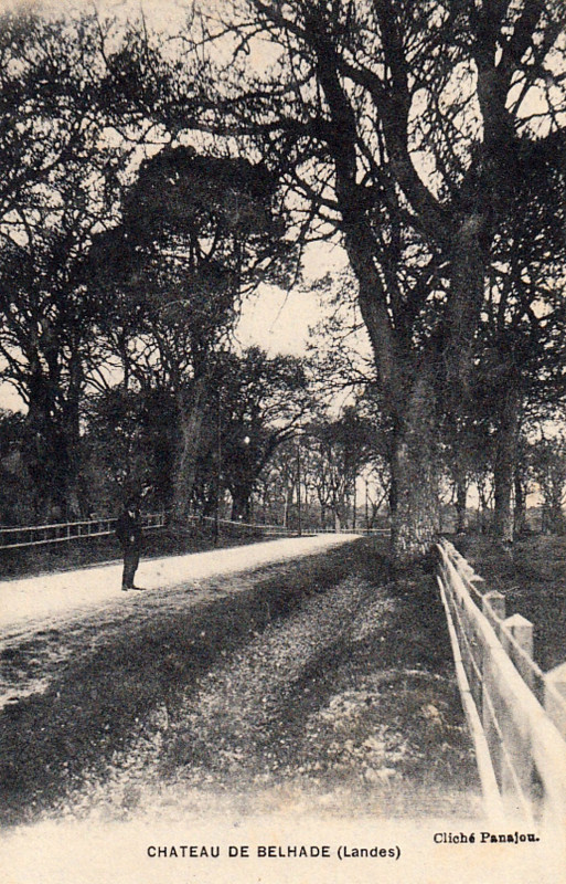 Carte postale ancienne Belhade (Landes) - château de Belhade 4