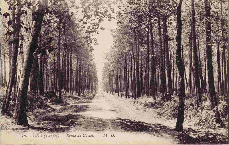 Carte postale ancienne Uza (Landes) - route de Castets 1