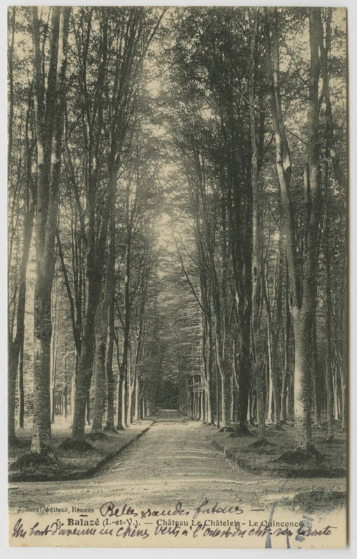 Carte postale ancienne 5. Balazé (I.-et-V.). Château Le Châtelet. Le Quinconce.