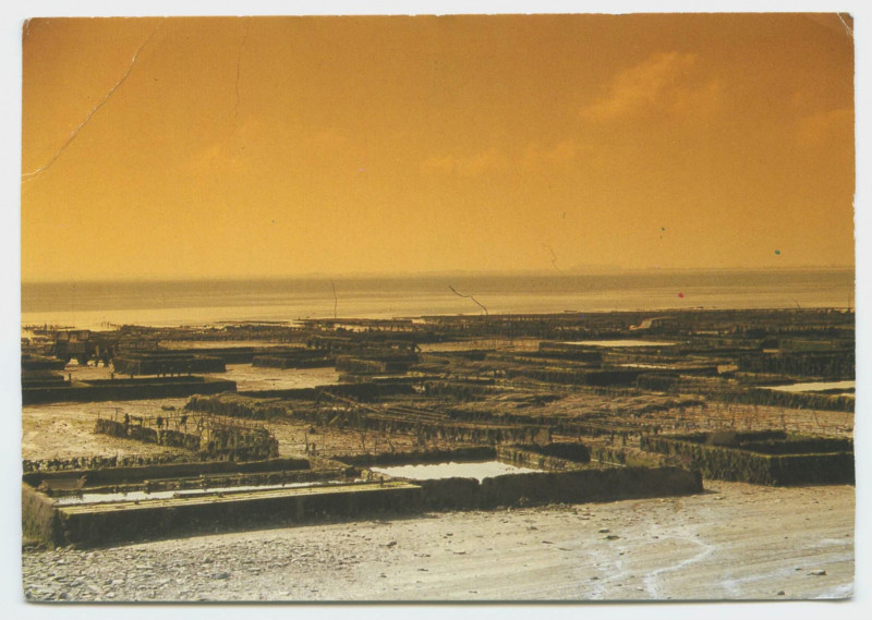 Carte postale ancienne 7177 - Cancale La Pointe du Hoch et le Rocher à Cancale