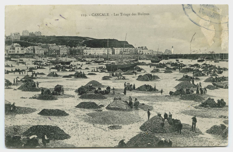 Carte postale ancienne 119.- Cancale - Les Triage des Huîtres
