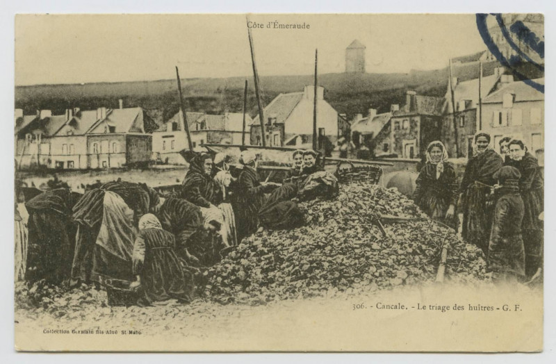 Carte postale ancienne 306.- Cancale. - Le triage des huîtres - G.F