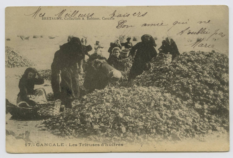 Carte postale ancienne 17.- Cancale - Les Trieuses d'huîtres