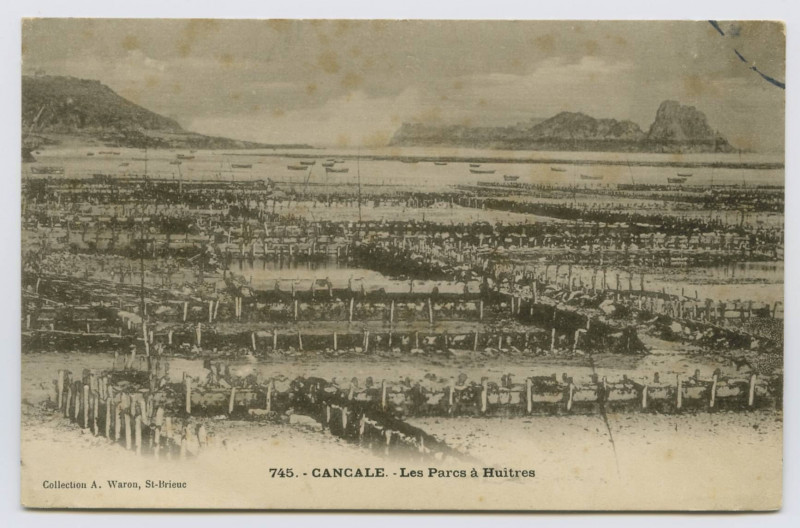 Carte postale ancienne 745.- Cancale.- Les Parcs à Huîtres
