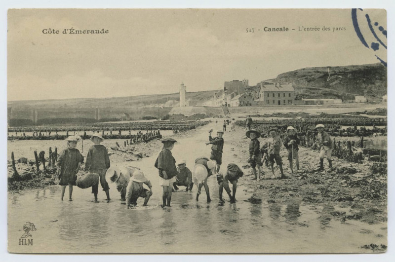 Carte postale ancienne 547 - Cancale - L'entrée des parcs