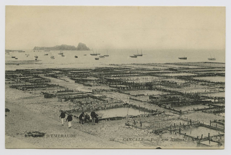 Carte postale ancienne 334 - Cancale . Parc aux huîtres.
