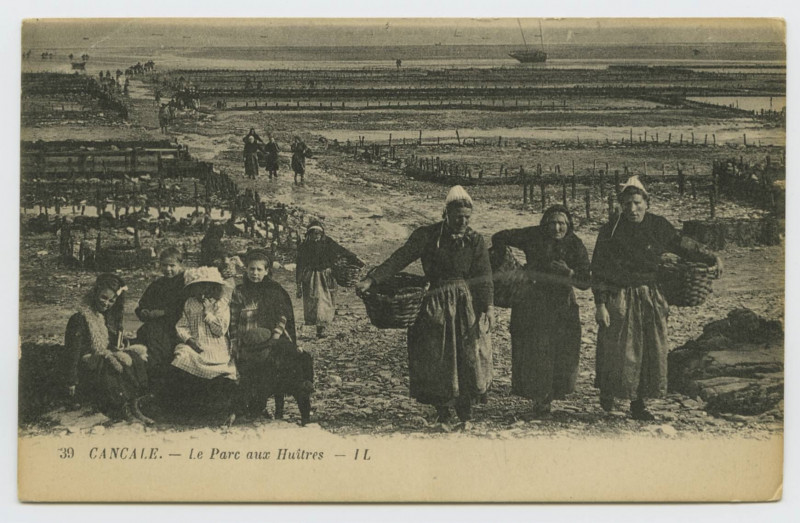 Carte postale ancienne 39  Cancale.- Le Parc aux huîtres - Ll