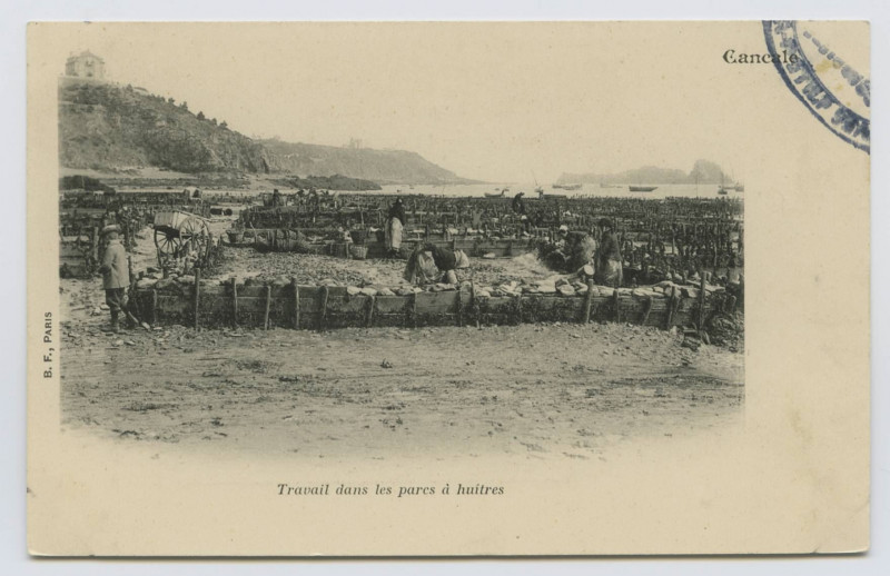 Carte postale ancienne Cancale Travail dans les parcs à huîtres