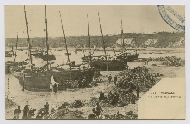 Carte postale ancienne 741.- Cancale - Le Triage des Huîtres
