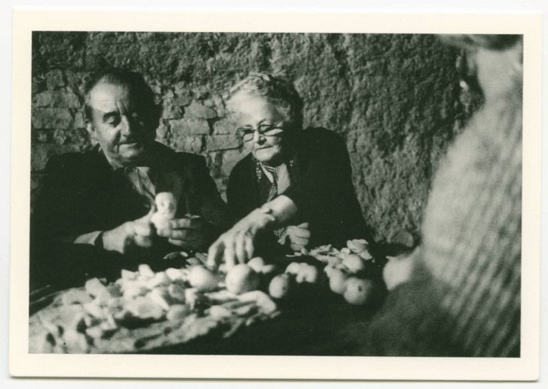 Carte postale ancienne Chasné-sur-Illet (35) Fête du Pommé - 18-19 Novembre 1989