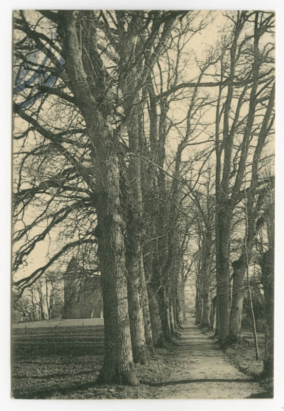Carte postale ancienne [Allée bordée d'arbres allant à la cour verte].
