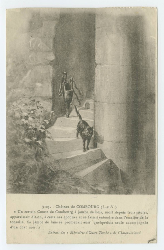 Carte postale ancienne 3123 - Chateau De Combourg (I-&-V).