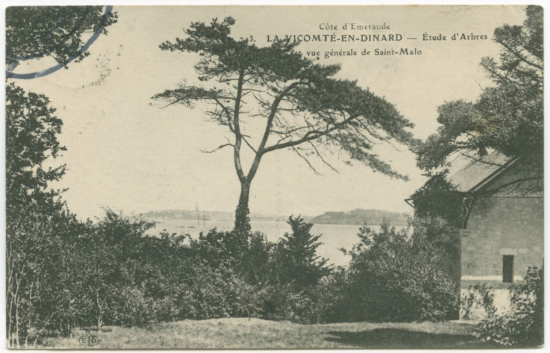 Carte postale ancienne 743. La Vicomte-En-Dinard _ Etude d'Arbres et Vue Generale de Saint-Malo.