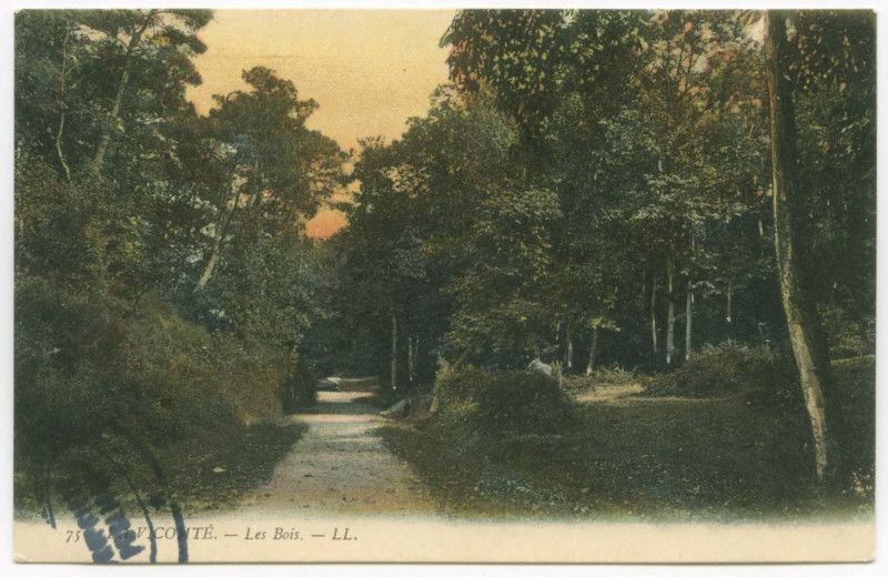 Carte postale ancienne 75 La Vicomte. _ Les Bois. _ Ll.