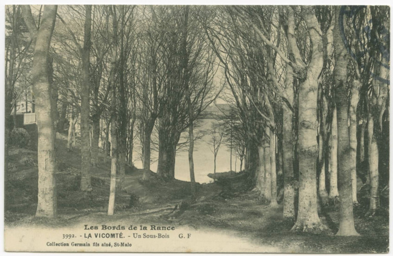 Carte postale ancienne 3992. - La Vicomte. - Un Sous-Bois G. F.