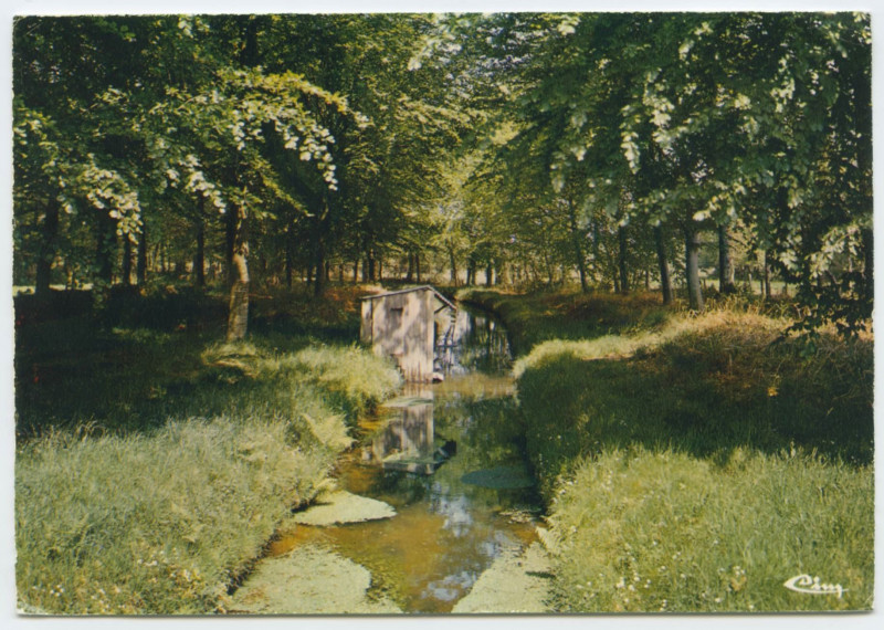 Carte postale ancienne Dinge (35440. I.-et-V.) - La Rigole de Boulet.