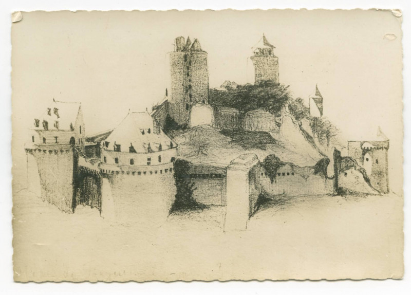 Carte postale ancienne Fougeres (I.-et-V.) - Le Château.