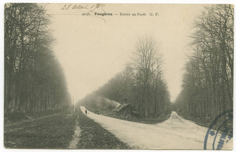 Carte postale ancienne 4036. Fougères - Entrée en Forêt.