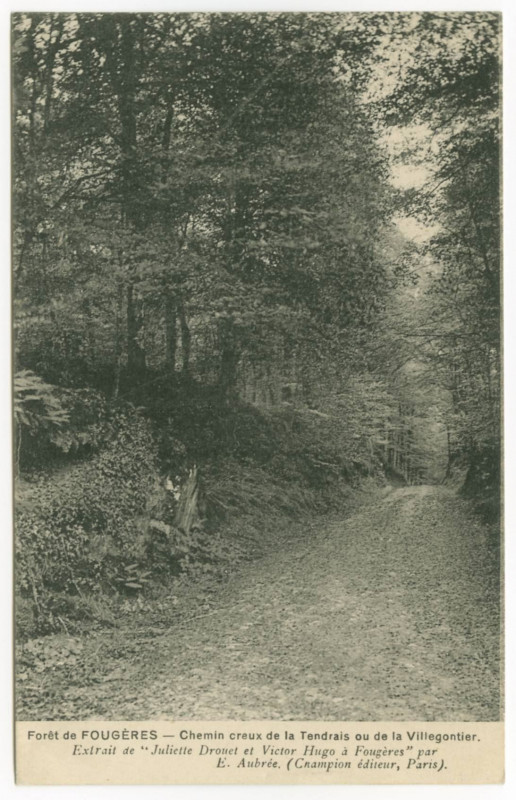 Carte postale ancienne Forêt de Fougeres - Chemin creux de la Tendrais ou de la Villegontier. Extrait de Juliette Drouet et Victor Hugo à Fougères par E. Aubrée. (Champi