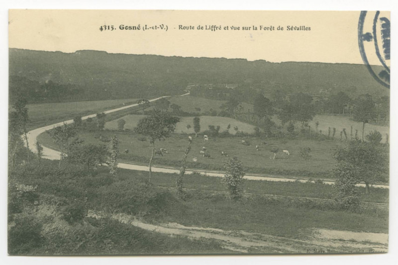 Carte postale ancienne 4315. Gosné (I.-et-V.) - Route de Liffré et vue sur la Forêt de Sévailles.