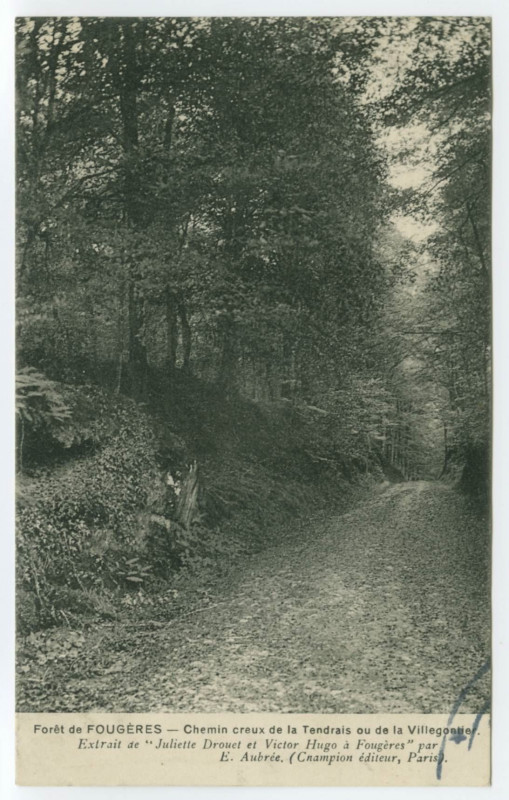 Carte postale ancienne Forêt de Fougeres - Chemin creux de la Tendrais ou de la Villegontier. Extrait de Juliette Drouet et Victor Hugo à Fougères par E. Aubrée. (Champi