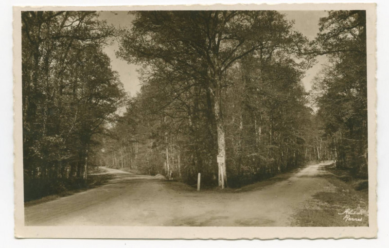 Carte postale ancienne Liffre (I.-et-V.) - 696 - Forêt de Rennes - Carrefour du Papillon.