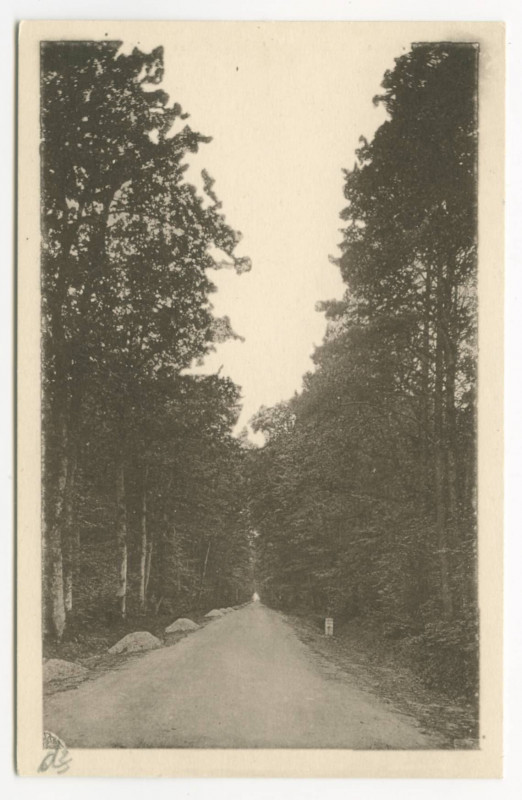 Carte postale ancienne 638 - Liffre (I.-et-V.) - Entrée de la Forêt, route de Chasné.