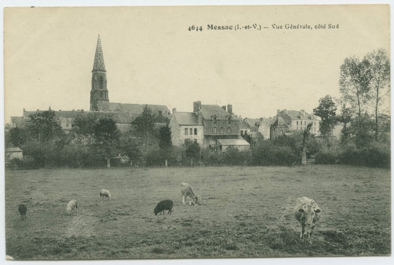 Carte postale ancienne 4614 Messac (I.-et-V.)_ Vue GENERALE, côté sud
