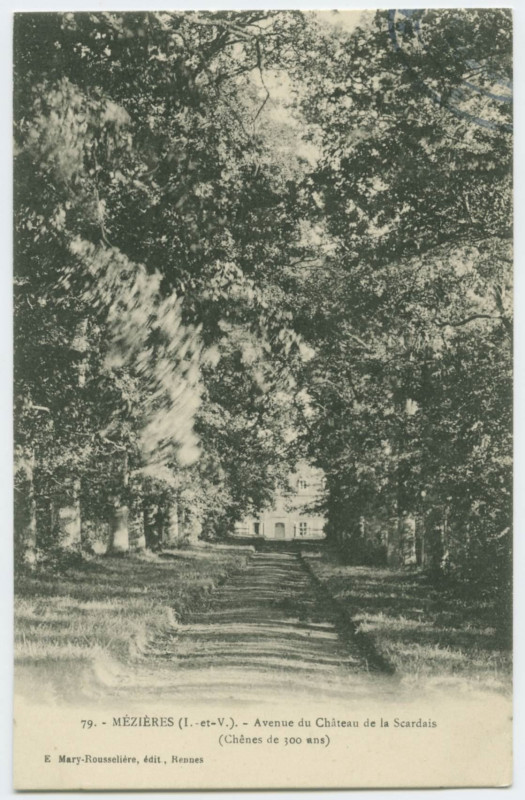 Carte postale ancienne 79.- Mézières (I.-et-V.). - Avenue du Château de la Scardais (chênes de 300 ans)
