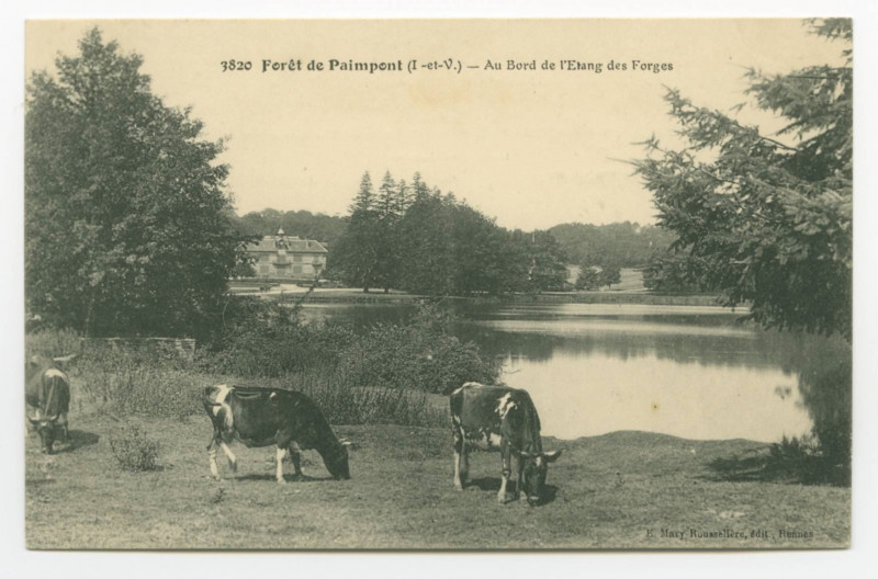 Carte postale ancienne 3820 Forêt de Paimpont (I.-et-V.) - Au Bord de l'Etang des Forges.