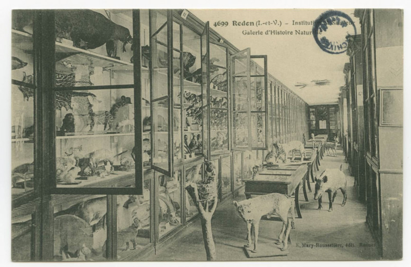 Carte postale ancienne 4699. Redon (I.etV.). - Institution St-Sauveur.- Galerie d'histoire naturelle