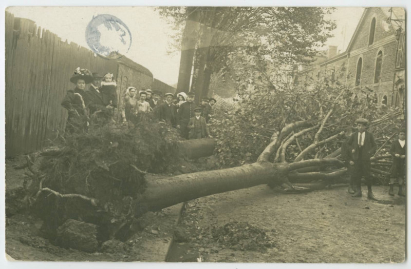Carte postale ancienne [RENNES, boulevard Solférino. -  Arbres arrachés par un ouragan.]
