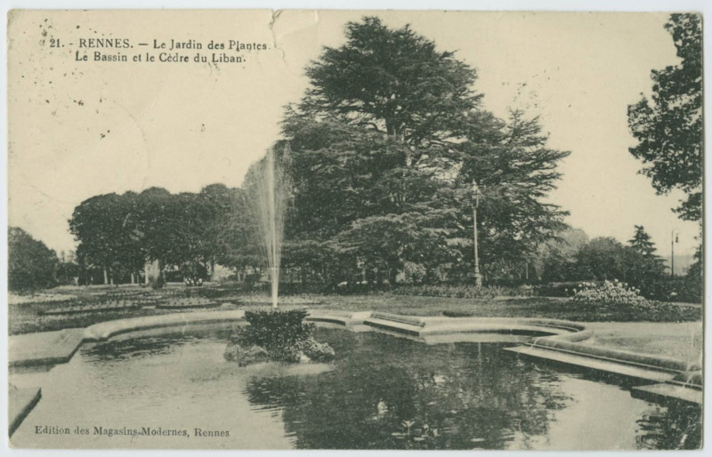 Carte postale ancienne 21. - Rennes. - Le Jardin des Plantes - Le Bassin et le Cèdre du Liban.