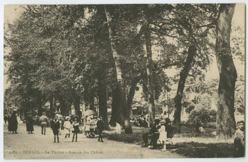 Carte postale ancienne 4482. - Rennes. - Le Thabor - Avenue des Chênes.