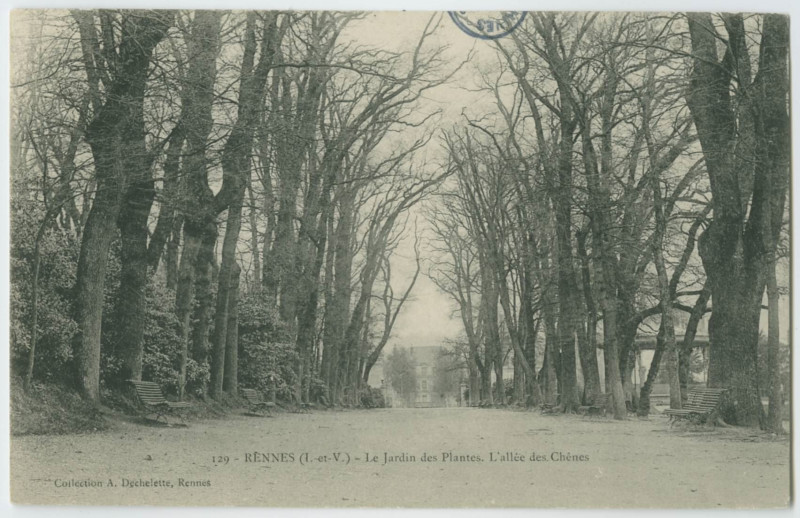 Carte postale ancienne 129. - Rennes (I-et-V.). - Le Jardin des Plantes. L'allée des Chênes.