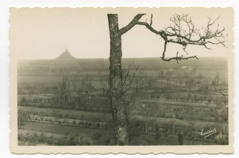 Carte postale ancienne 737 Roz-sur-Couesnon  (Manche) - Vue Du Mont Saint-Michel De Sur Le Palais