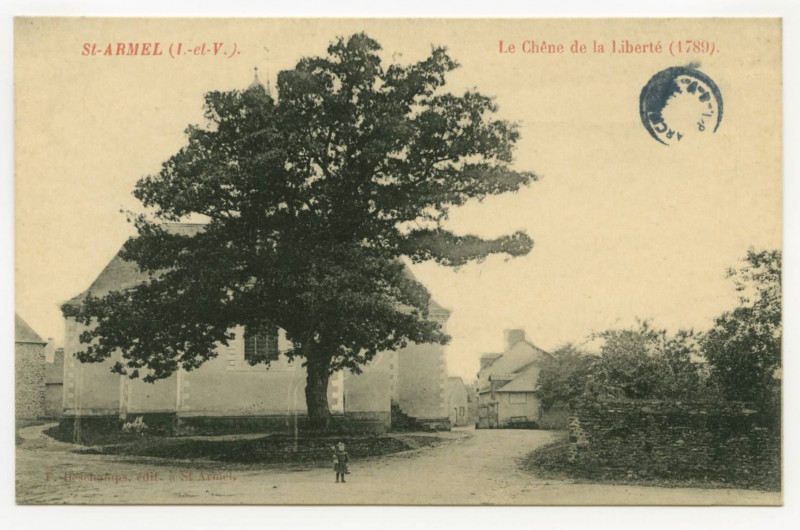 Carte postale ancienne St-Armel  ( I.-et-V.) - Le Chêne de la Liberté (1789)