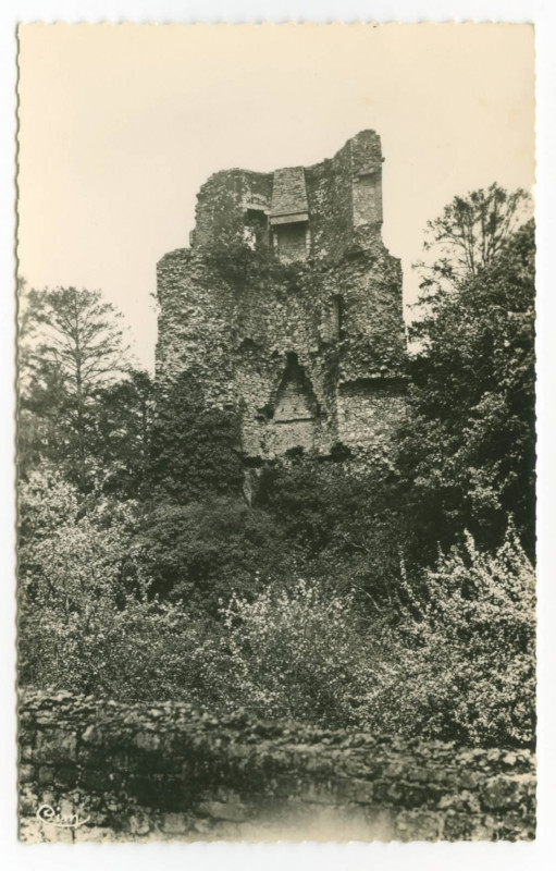 Carte postale ancienne 11.-  St-Aubin-du-Cormier ( I.-et-V.).- Les Ruines du Château élevé par Pierre Mauclerc, Duc de Bretagne en 1227.